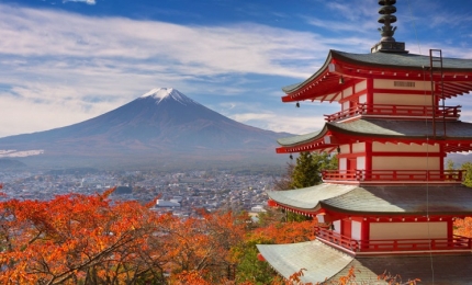 STUDY ABROAD IN JAPAN 