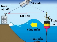 Nhật Bản ban hành cảnh báo sóng thần khắp các địa phương dọc bờ biển Thái Bình Dương