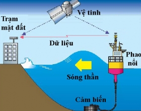 Nhật Bản ban hành cảnh báo sóng thần khắp các địa phương dọc bờ biển Thái Bình Dương