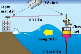 Nhật Bản ban hành cảnh báo sóng thần khắp các địa phương dọc bờ biển Thái Bình Dương
