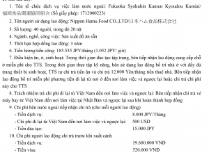 PHIẾU TRẢ LỜI Đăng ký hợp đồng cung ứng lao động đi làm việc tại Nhật Bản tháng 01/2025